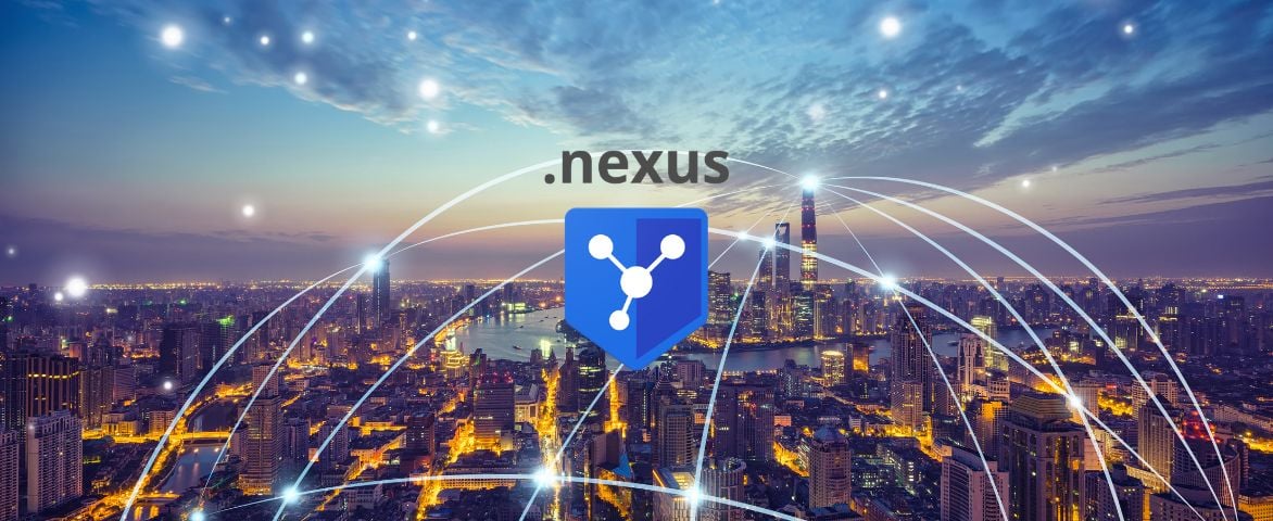 New .NEXUS Domain Extension: Explore Everything You Need to Know
